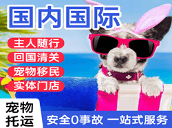 中川机场空运国际宠物托运 【国